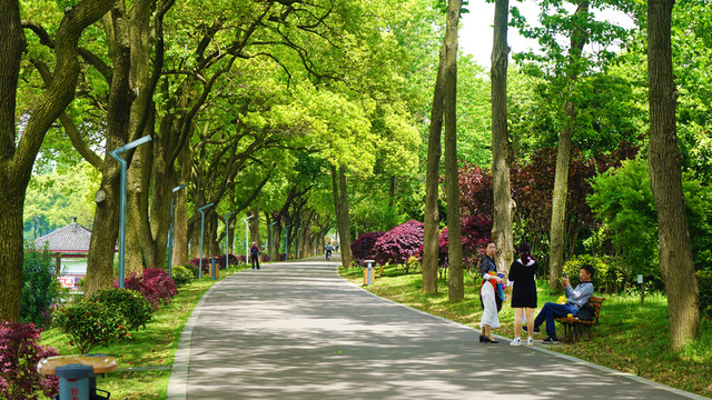 湖南烈士公園健康步道