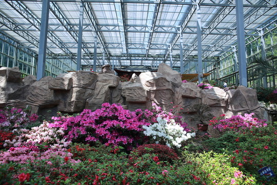 杜鵑博覽園