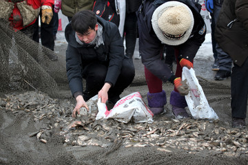 冬捕 捕魚