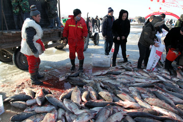 冬捕 捕魚 打漁