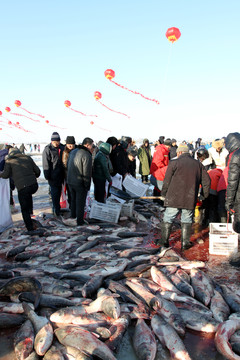 冬捕 捕魚