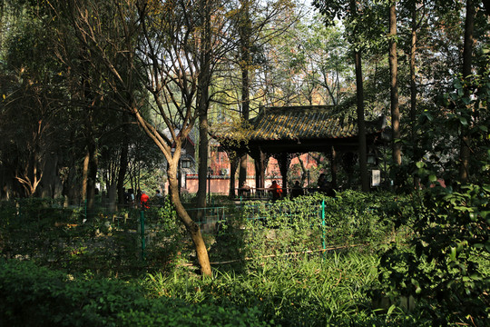 成都 文殊院