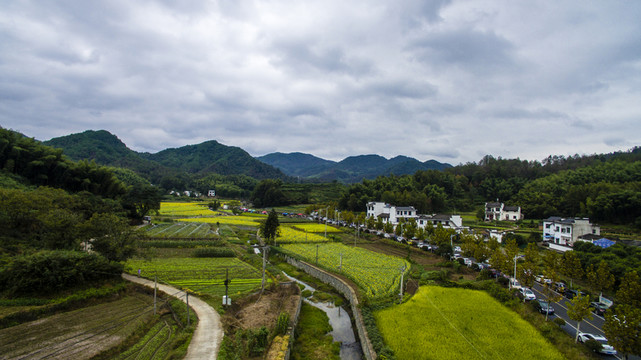 蜀源葵花園26