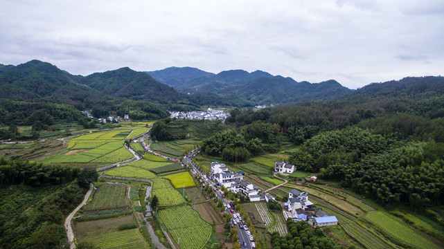 蜀源葵花園33