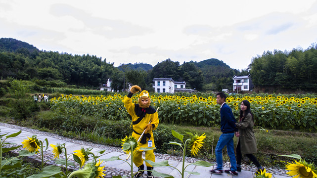 蜀源葵花園42