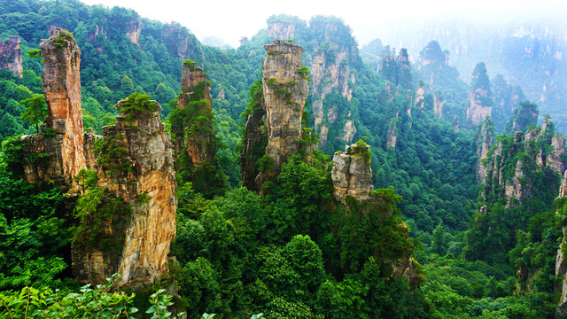 天子山風(fēng)景
