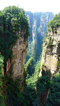 袁家界景區(qū)