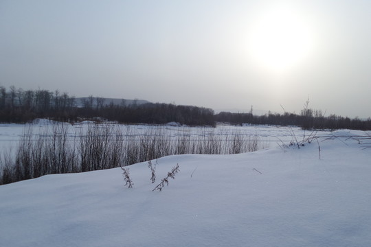 銀雪世界
