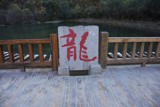 龍字