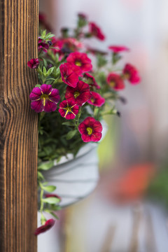 花
