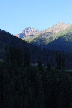 初夏的山谷