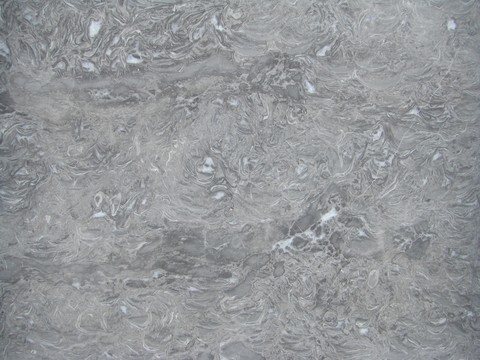 霸王花 Ba Wang Hua