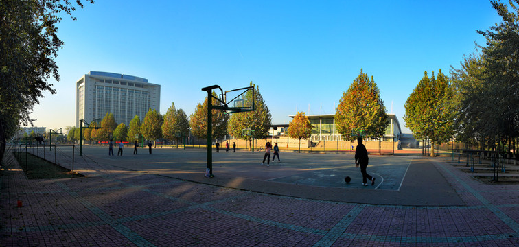籃球場