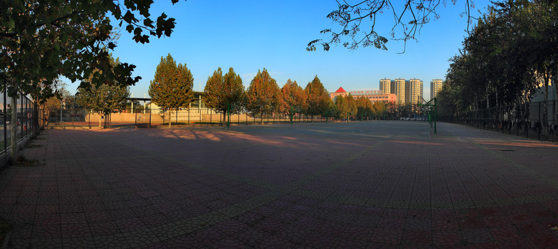 體育場