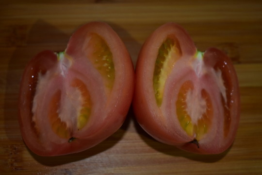 番茄青紅柿