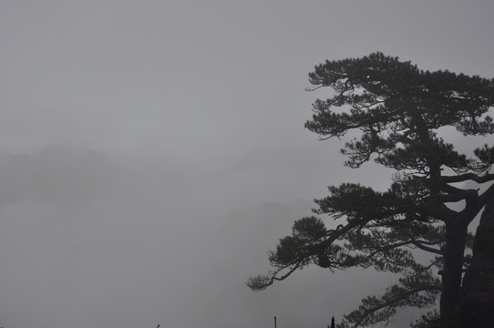 黃山