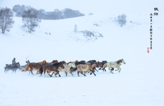 壩上雪中奔馬