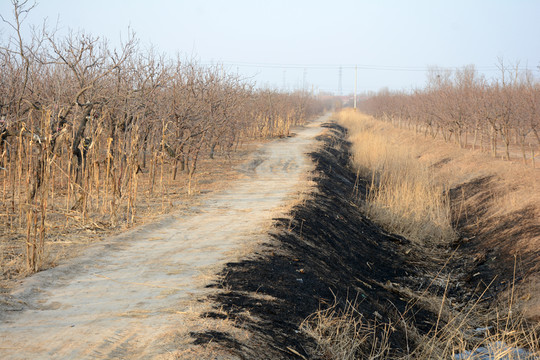 鄉(xiāng)村小路