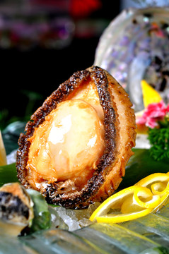 澳洲鮑魚(yú)