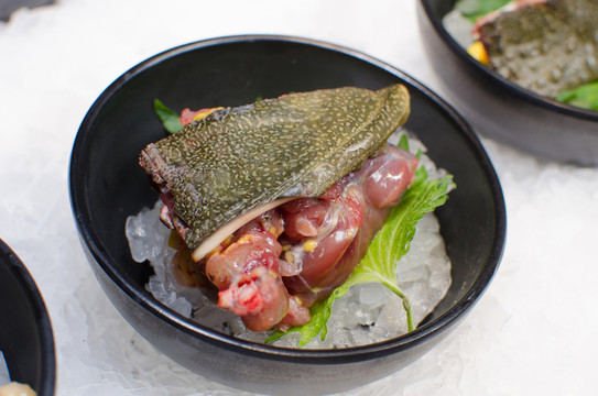甲魚