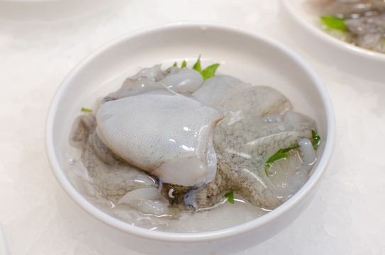 章魚