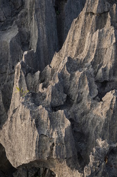 山石
