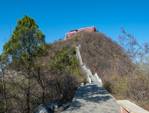 修武云臺(tái)山茱萸峰