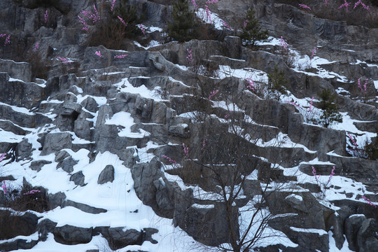 雪景