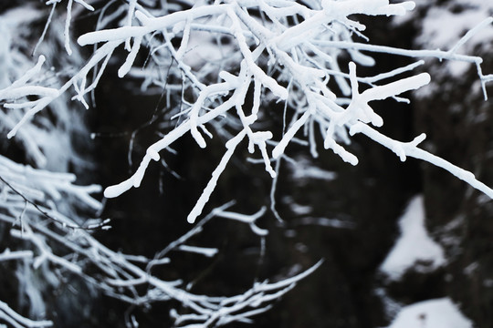 雪景