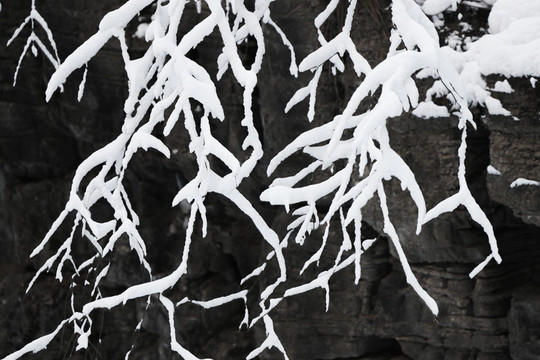 雪
