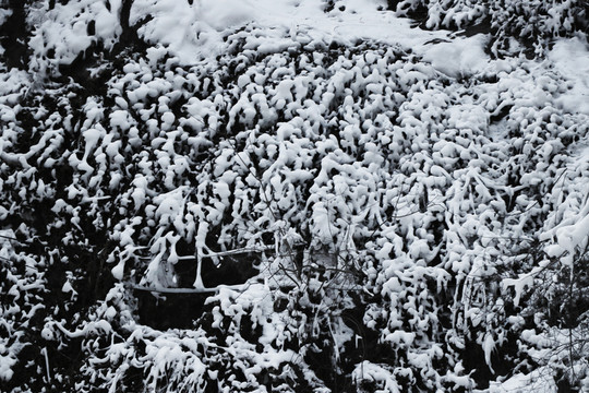 雪