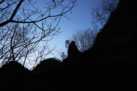 山