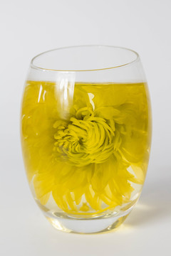 嫵媚的金絲皇菊