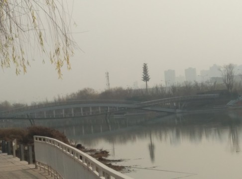 西安 隨手 動物 風(fēng)景