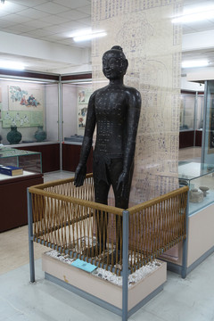 北京中醫(yī)藥博物館 針灸銅人