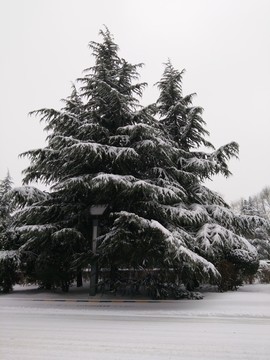 西安 北郊 北辰大道周邊 雪景
