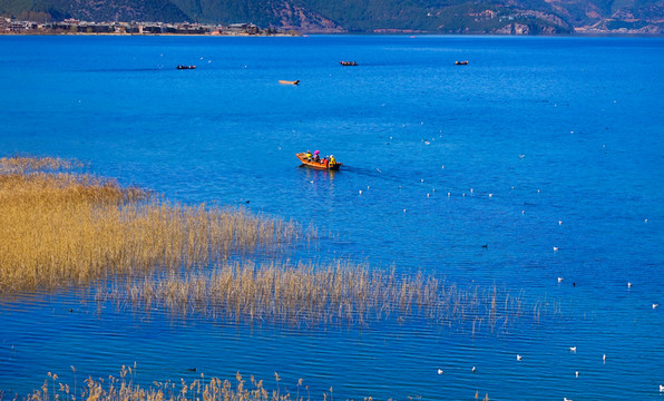 草海 瀘沽湖