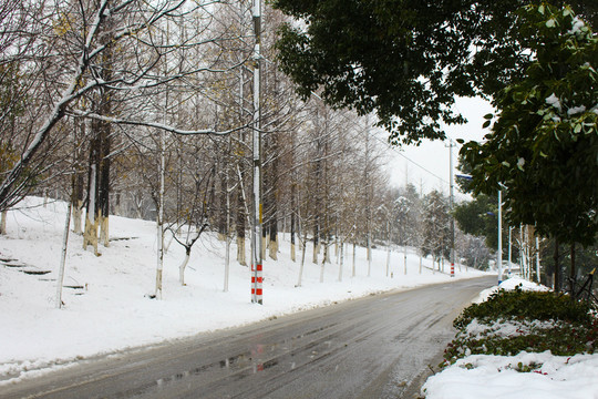 暖冬雪景