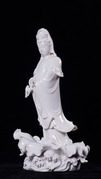 滴水觀音側(cè)