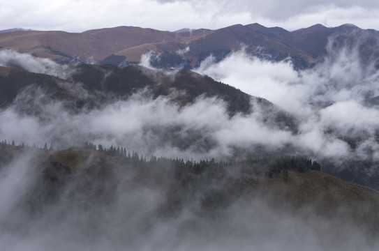 卡子拉山