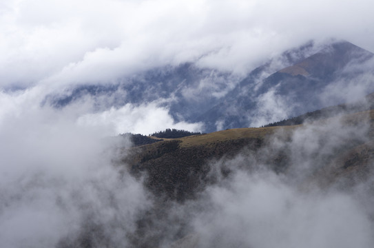 理塘卡子拉山