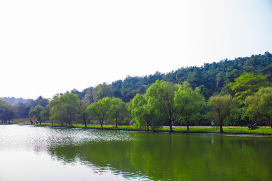 景區(qū)湖面