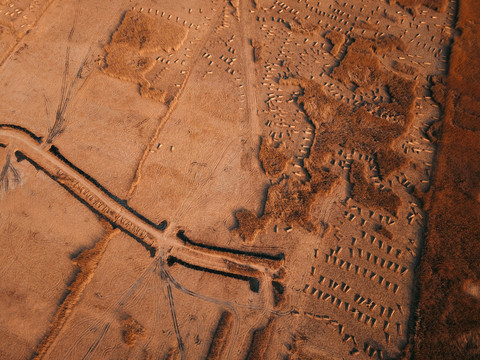 航拍濕地