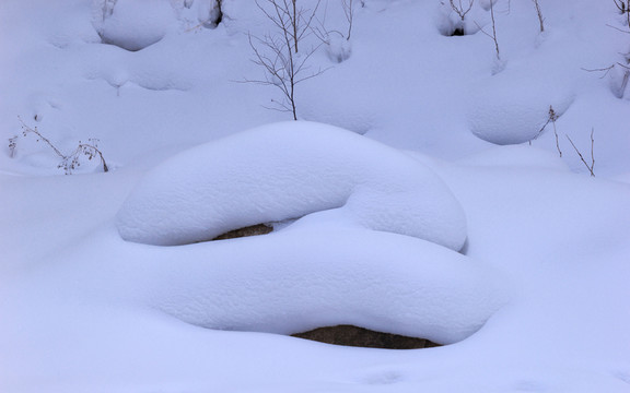 雪景