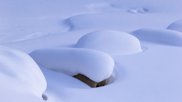雪韻