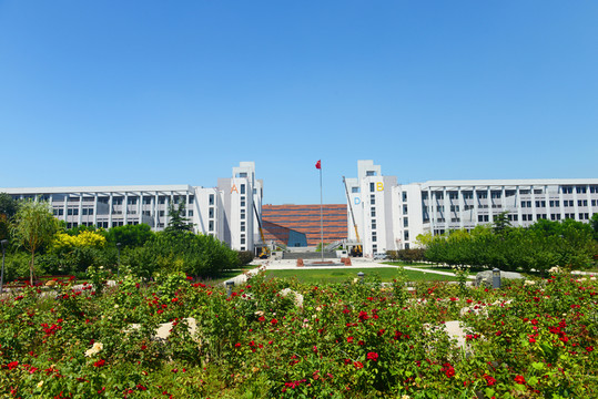河北工業(yè)大學(xué) 花