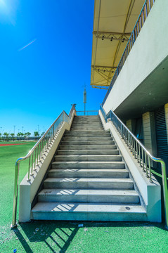體育場
