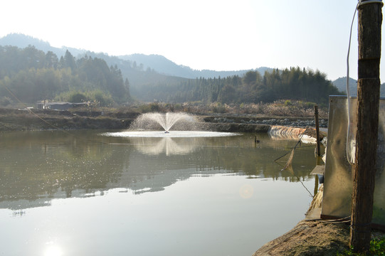 魚塘