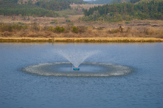 魚(yú)塘