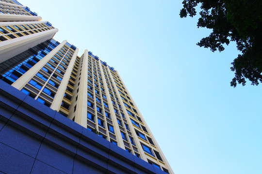 新建的辦公高樓
